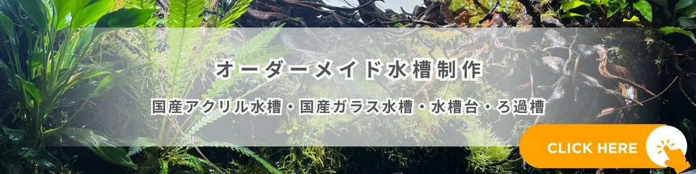 オーダーメイド水槽の詳細ページを紹介