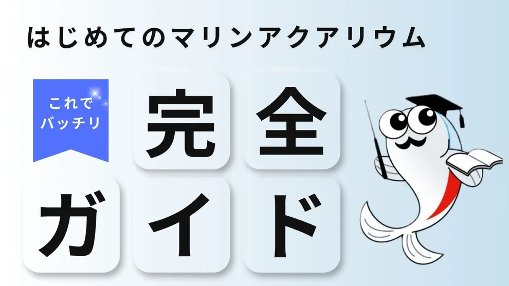 海水魚飼育の基礎について解説