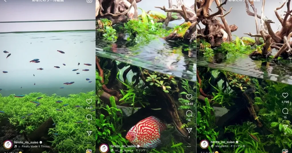 アクアレンタリウムのインスタグラムを説明