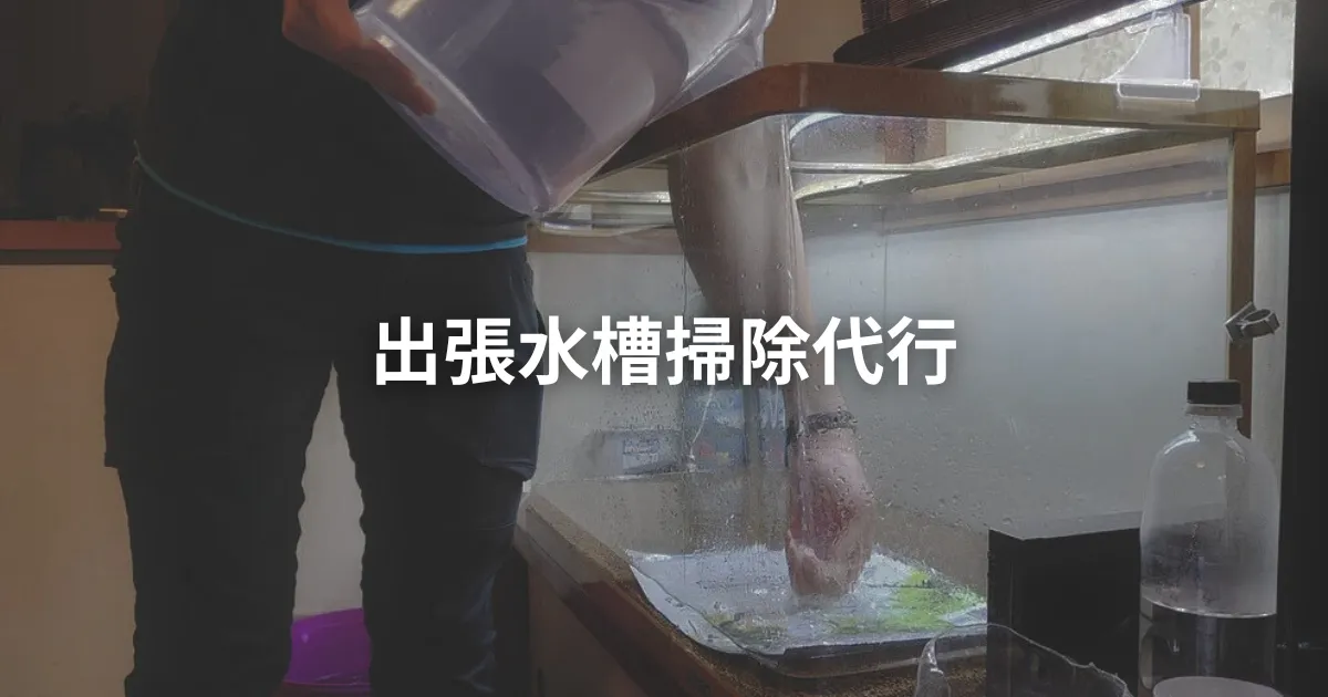 出張水槽掃除代行サービスを説明｜熱帯魚水槽