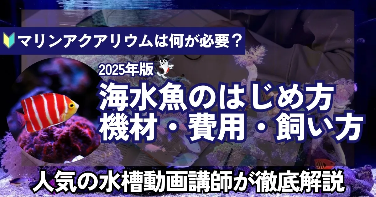 2025年完全版】海水魚飼育22年のプロが教える! マリンアクアリウム基礎を総合解説